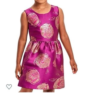 Children's Place Rasberry Dress 18-24 months